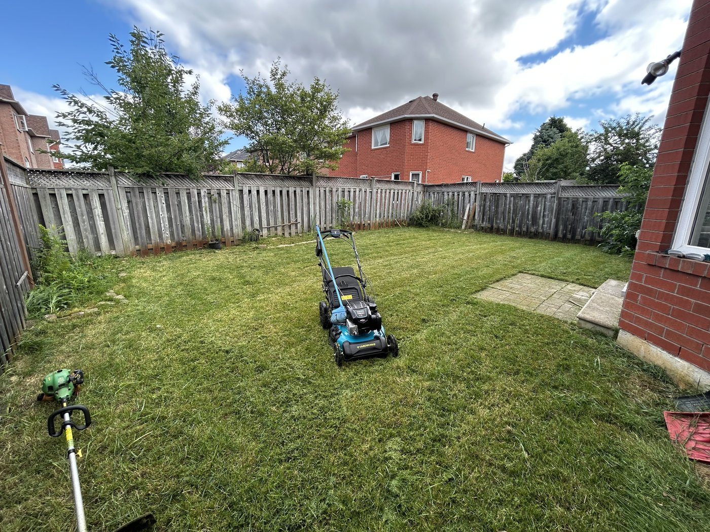 A freshly mowed backyard in Richmond Hill with Ethan’s lawn mower and trimmer, July 2024